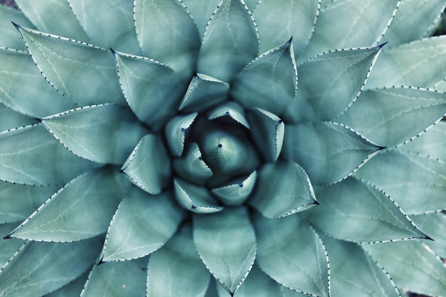 The Science Behind Emotional Intelligence