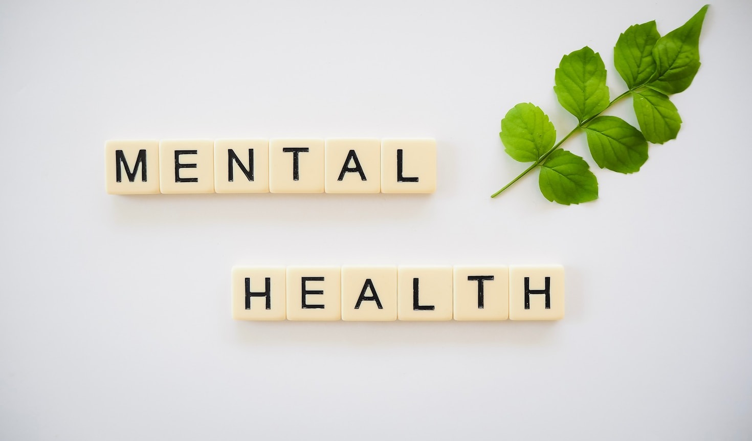 The Link Between Nutrition and Mental Clarity