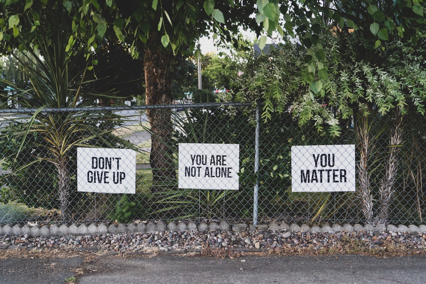 5 Ways to Cultivate Inner Peace in Chaos